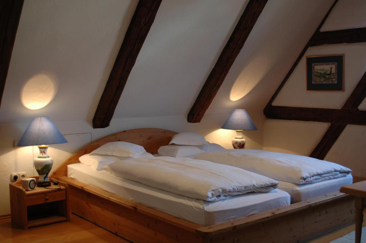 Hotel Schwarzer Adler 埃朗根 外观 照片